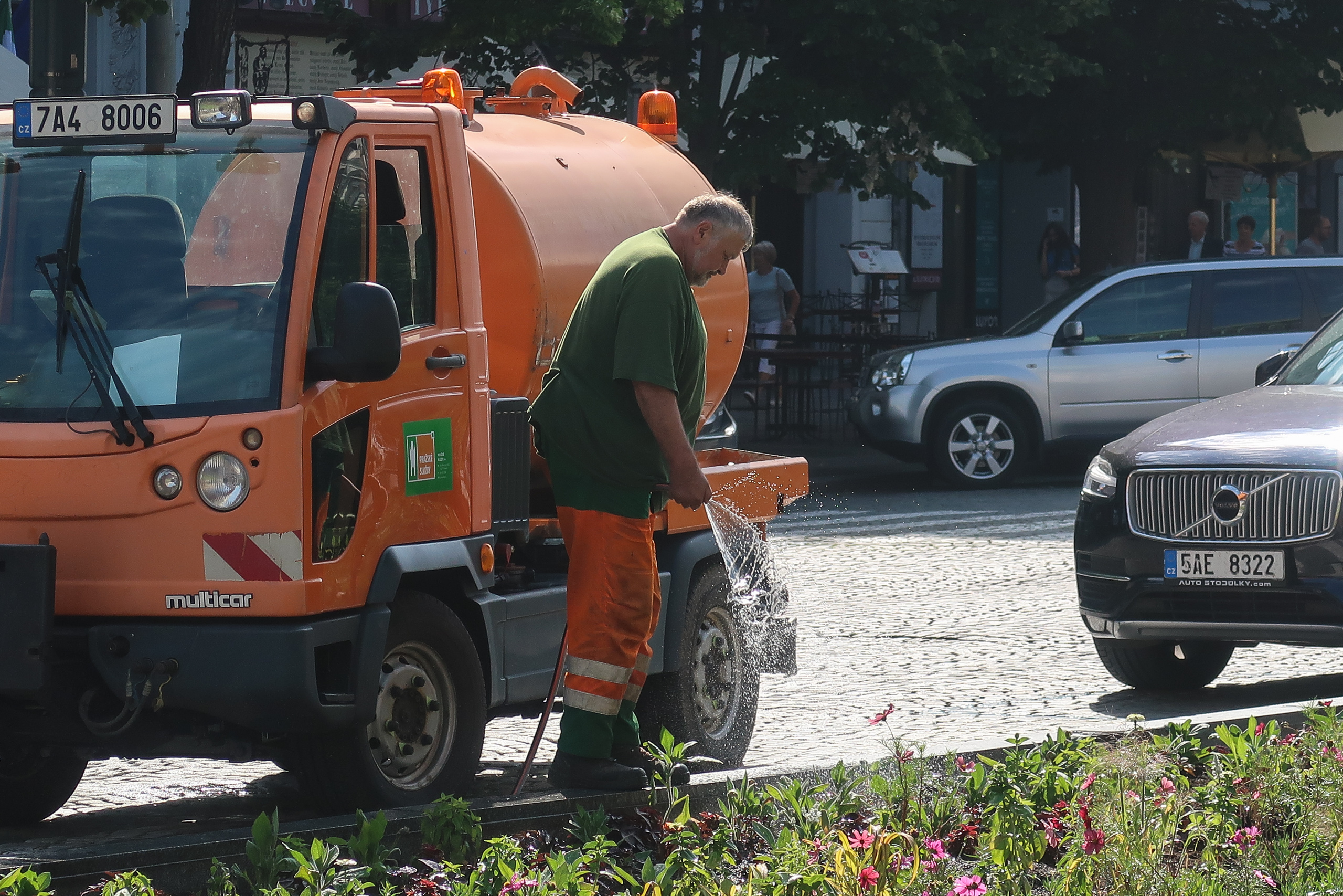 Mohn und Kornblumen säumen den Weg